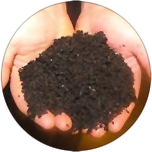 Vermicompost